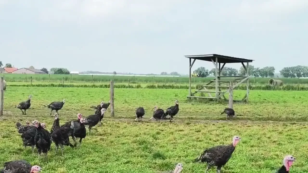 Boerderij De Klinge
