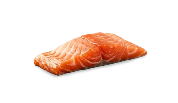 Zalmfilet