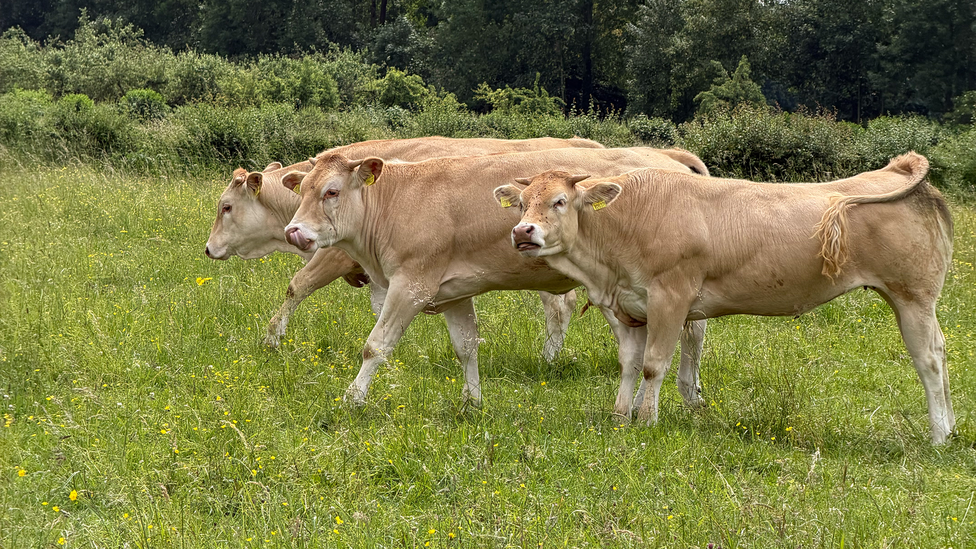 Methorst in Ederveen, Gelderland